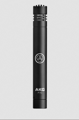 Інструментальний мікрофон AKG P170 3101H00410 фото