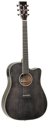 TANGLEWOOD TW5 CE BS 88341 фото