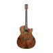 TANGLEWOOD TWX6 CE PW