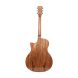 TANGLEWOOD TWX6 CE PW