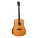 Електроакустична гітара TANGLEWOOD TRS4 CE