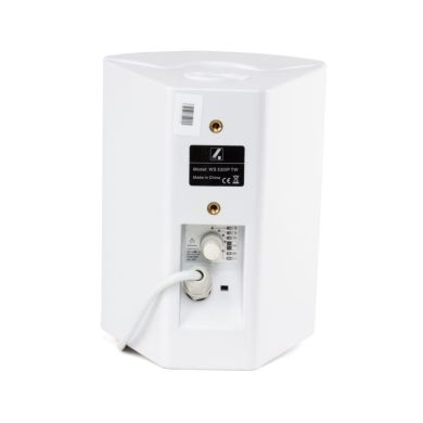 Настенная 2-полосная акустическая система 4all Audio WS 530IP TW 83751 фото