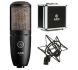 Студийный микрофон AKG P220