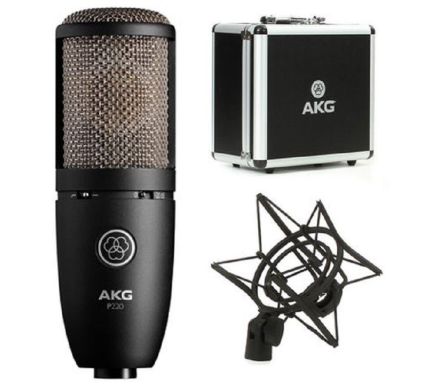 Студийный микрофон AKG P220 3101H00420 фото