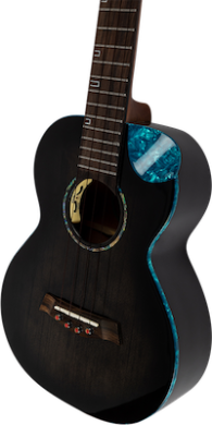 FLIGT NIGHTHAWK TENOR EQ-A 87550 фото