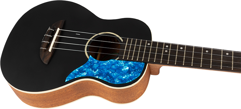 Flight IRIS TENOR BK 87555 фото