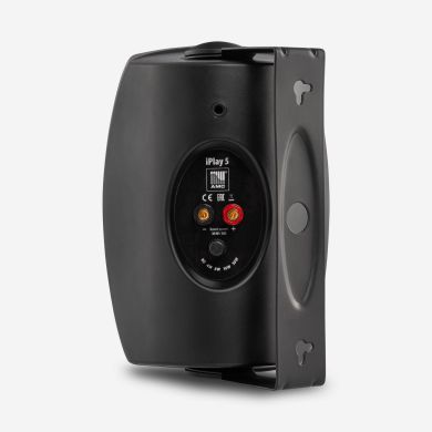 Настінна акустична система AMC IPLAY 5T 70318 фото