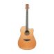 TANGLEWOOD TW5 CE NA