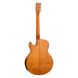 TANGLEWOOD TWX6 CES MF