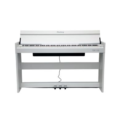 TDP-110 WH 89651 фото