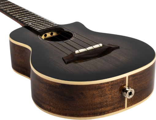 Flight PETER MOSS SIGNATURE EQ-A CONCERT 87554 фото