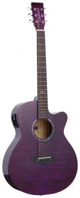 TANGLEWOOD TA4 CE PU 88345 фото